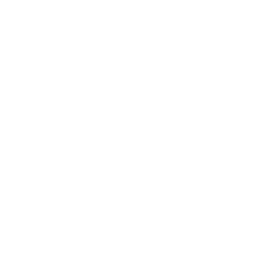 alek