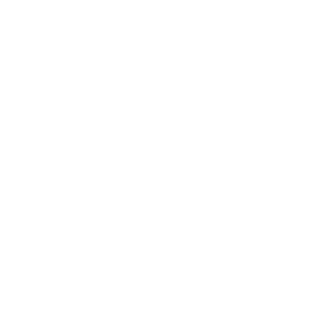 alek